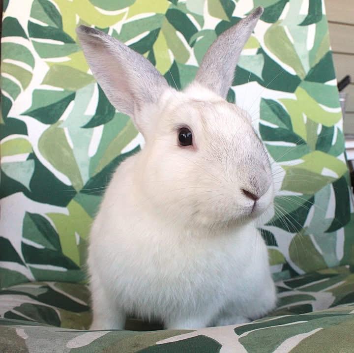 Monty photo