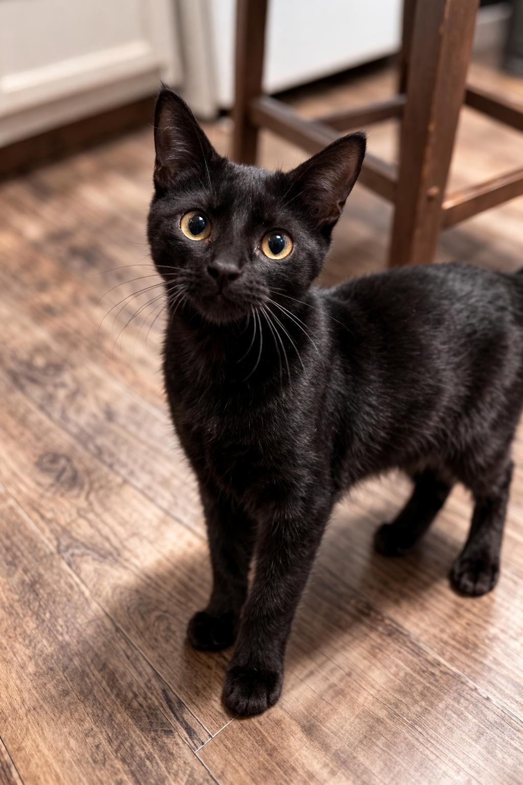 Muto — thumbnail 2