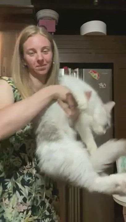 Enlarge Richard, a Adopted mixed breed in Brampton, ON video 11/12