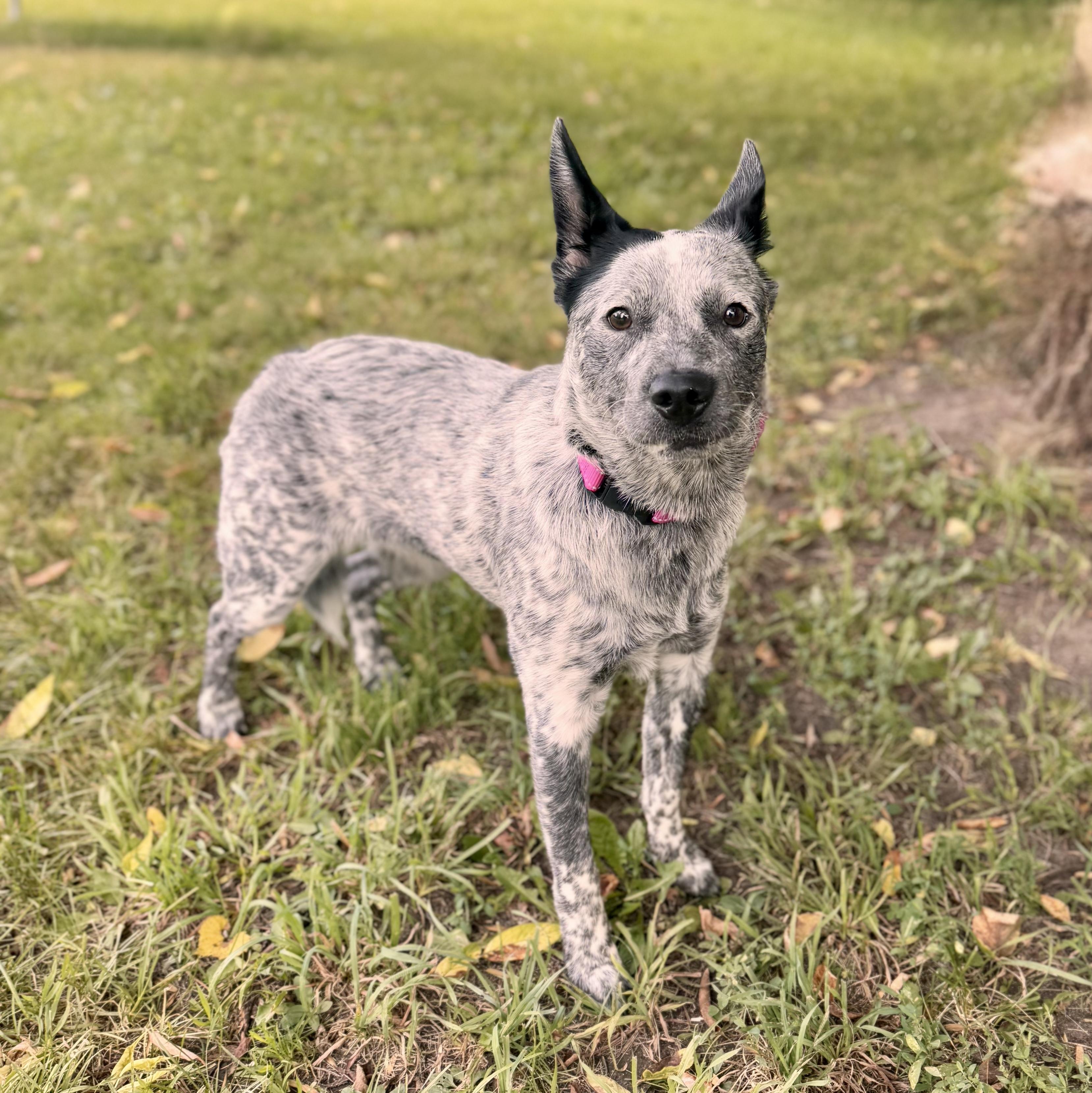 Molly