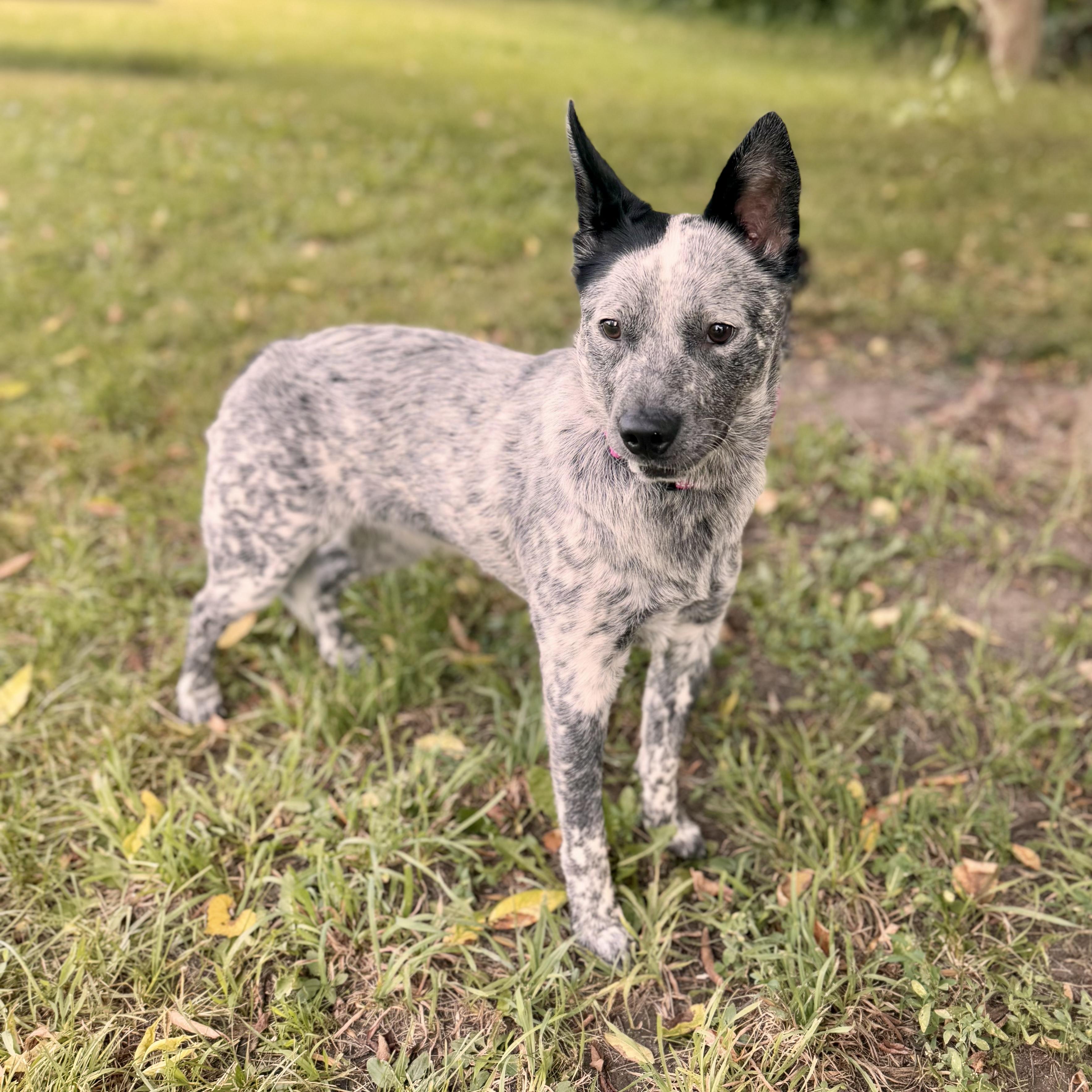 Molly