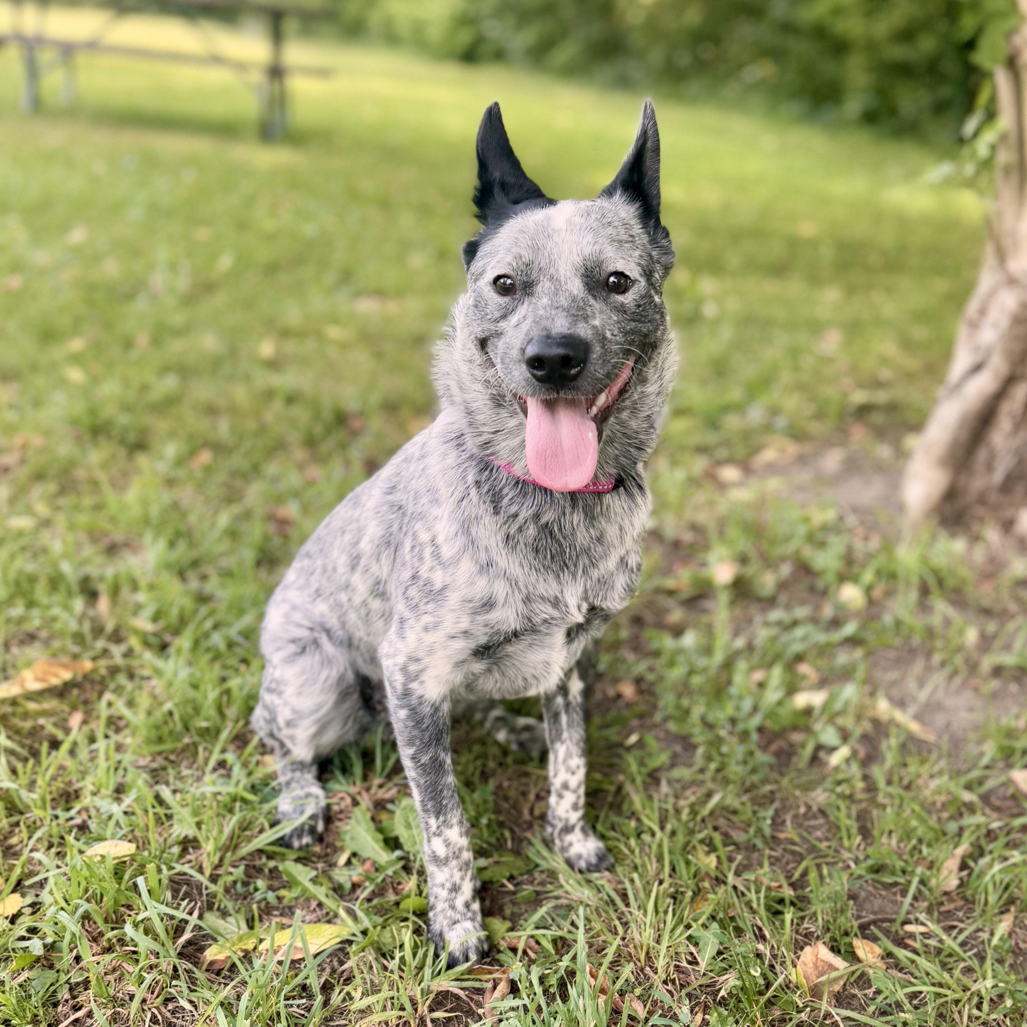 Molly