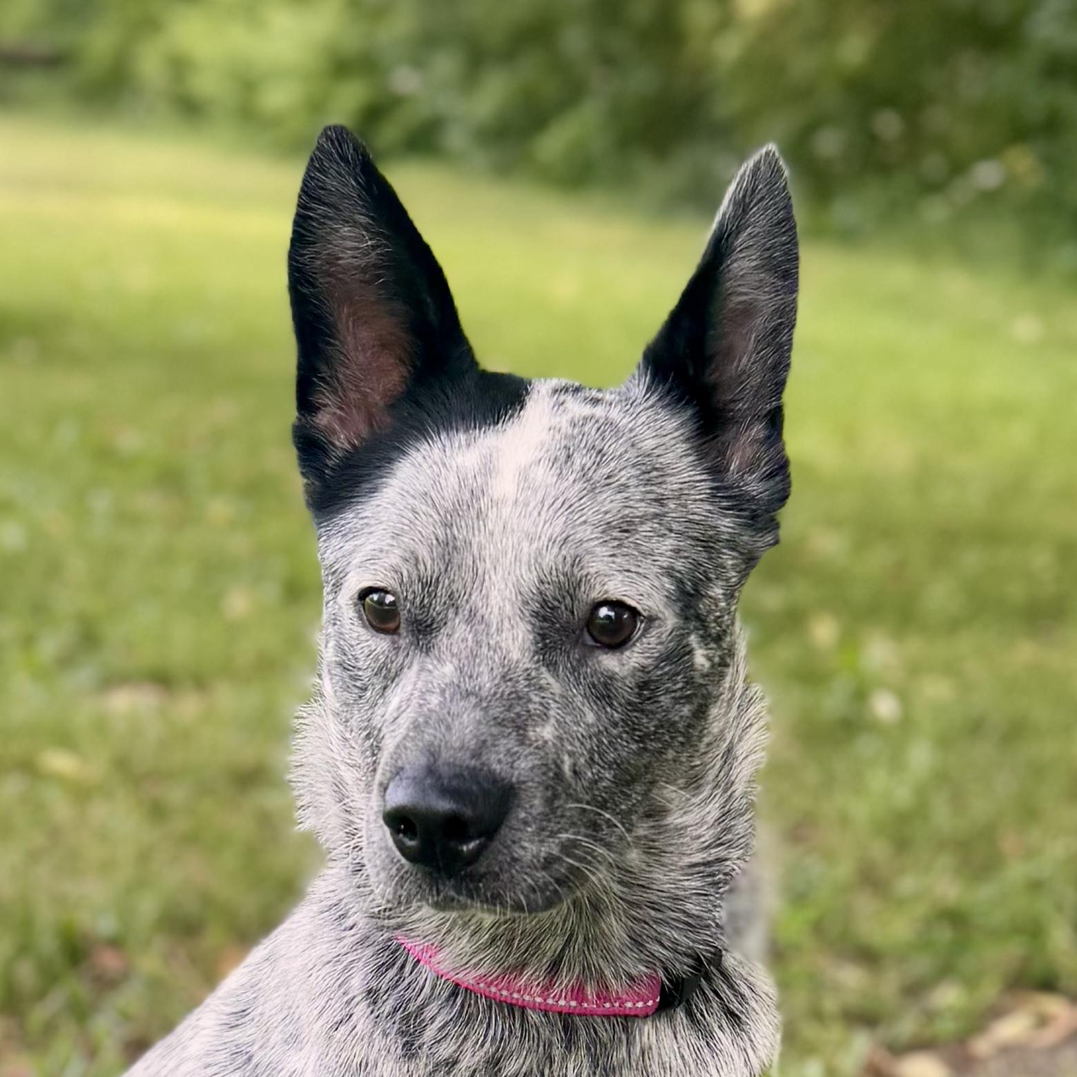 Molly