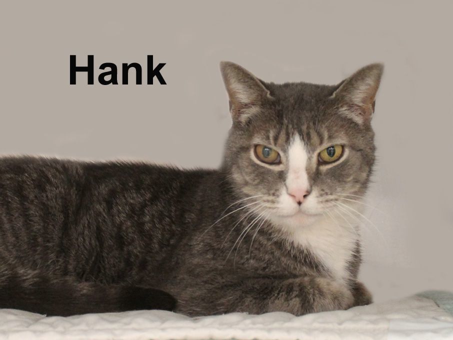 Hank Ricc.  (friendly and affectionate) 3