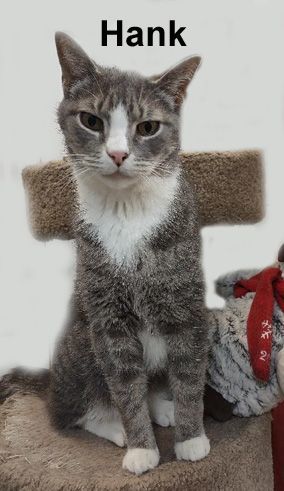 Hank Ricc.  (friendly and affectionate) 2