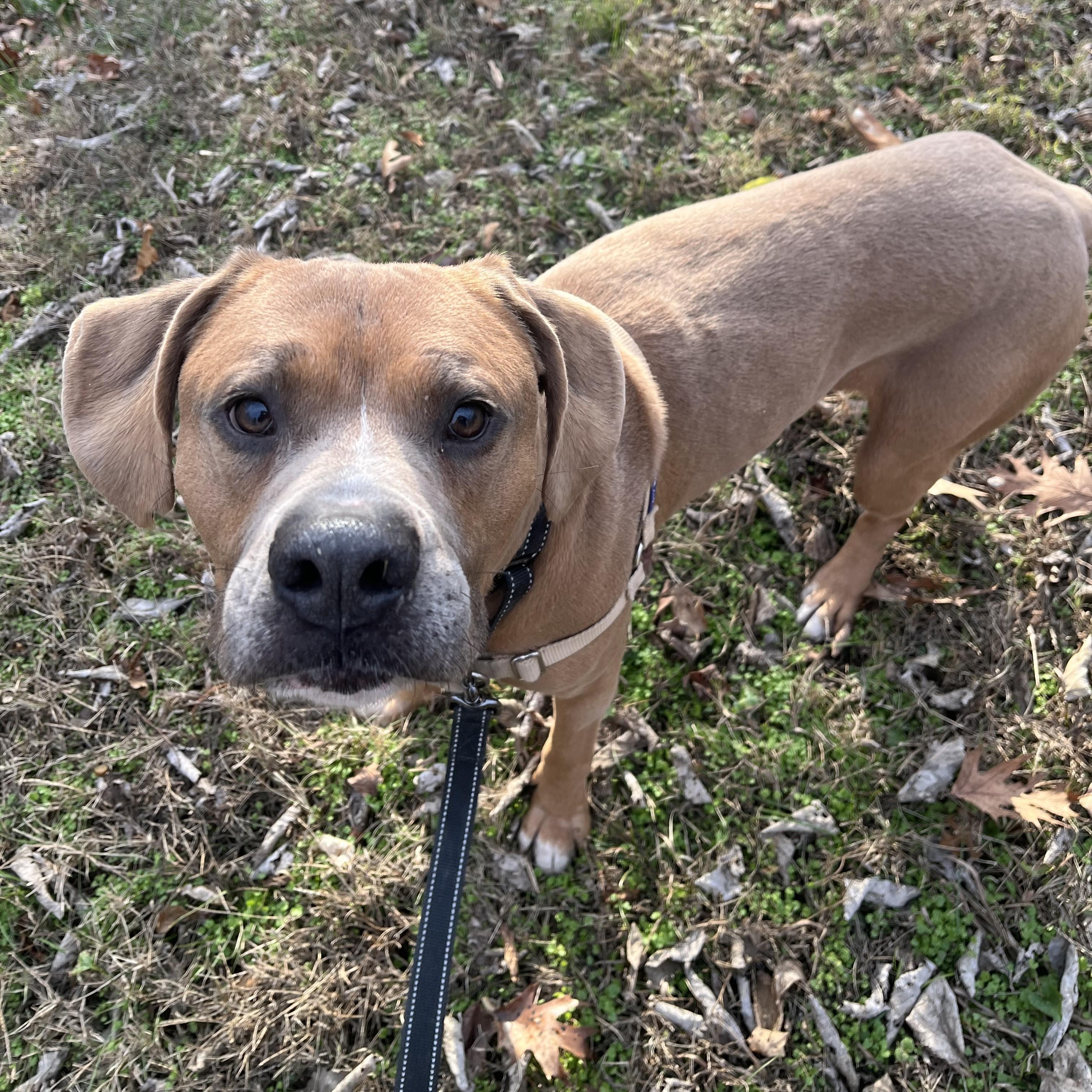 Jethro — thumbnail 3