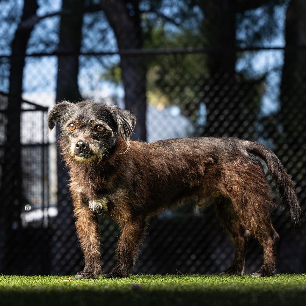 Mike — thumbnail 2