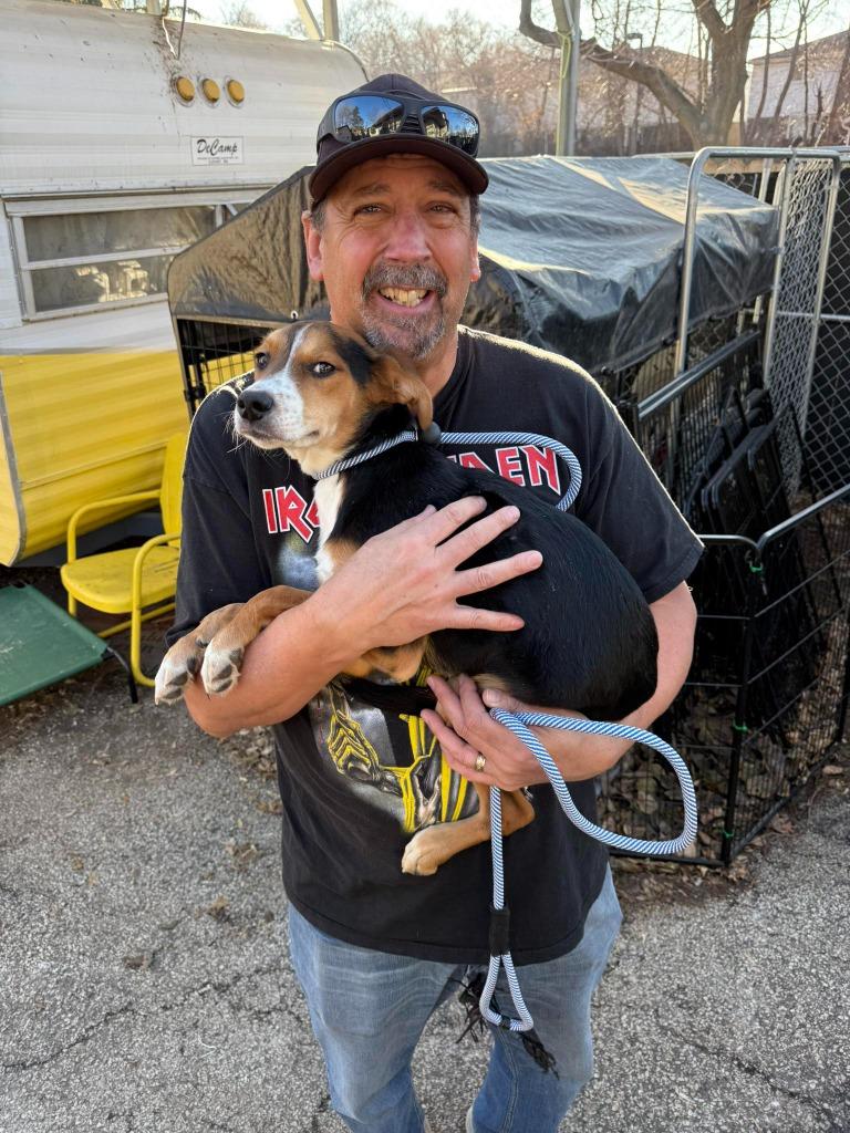 Frisbee (Fris) — thumbnail 2