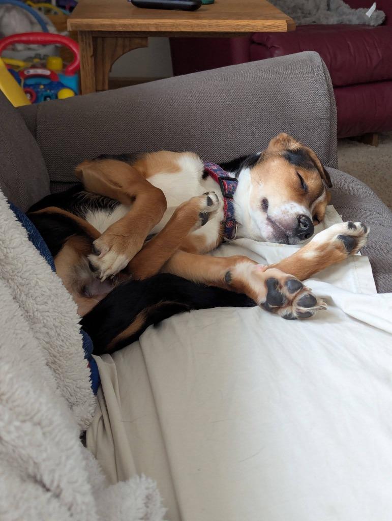 Frisbee (Fris) — thumbnail 4