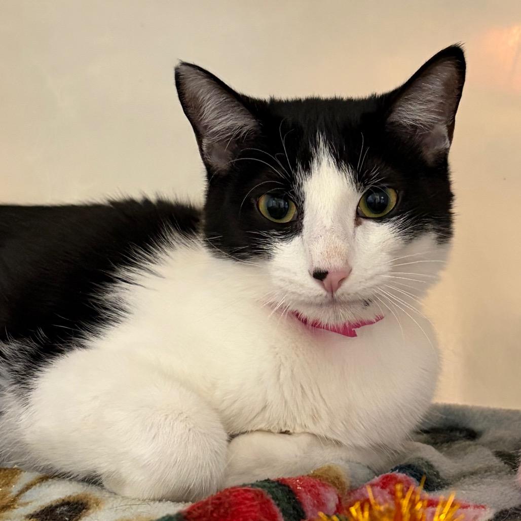 Vinegar — thumbnail 3