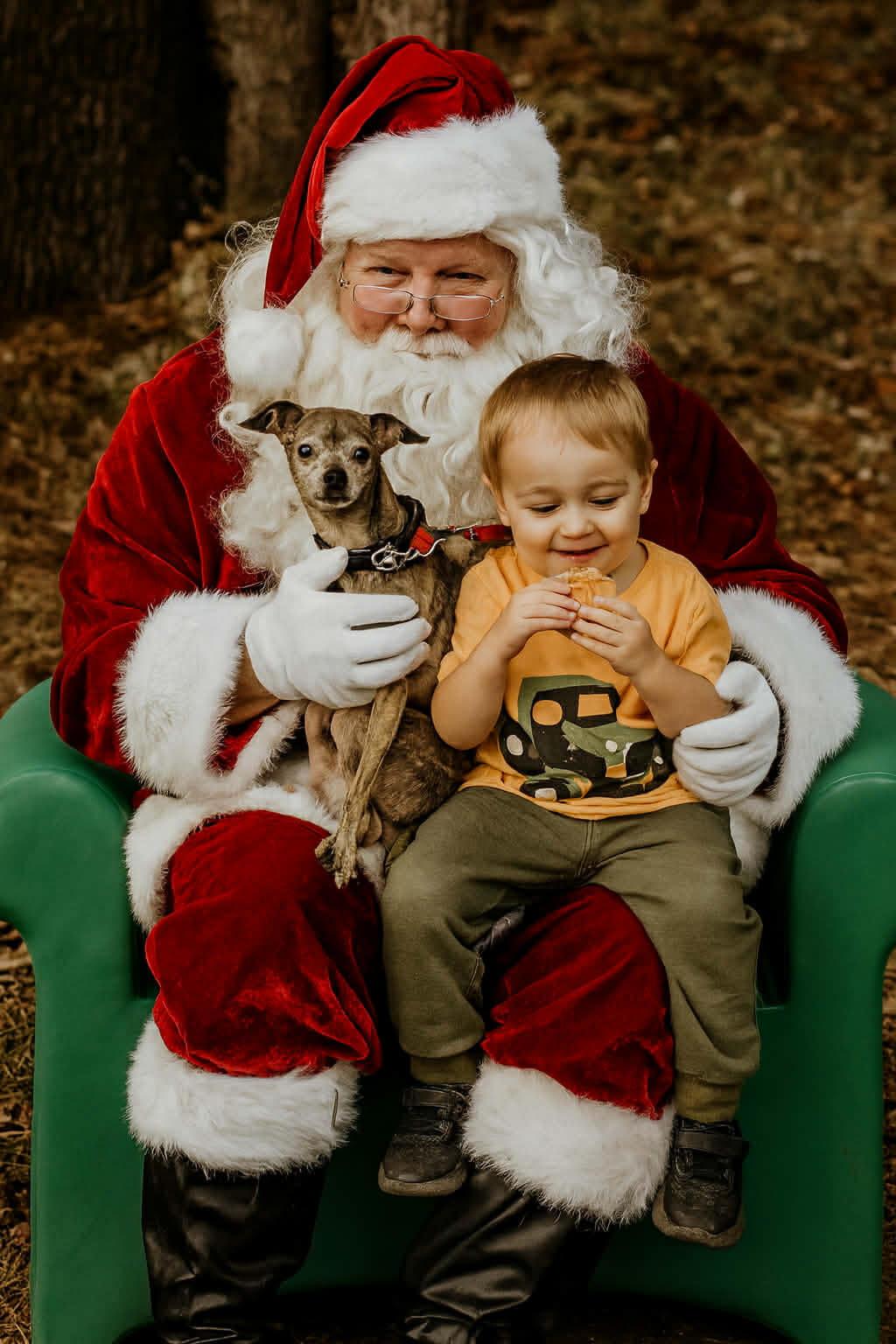 Enlarge Hassie - Come Meet Me, an adoptable mixed breed in Medfield, MA image 1/4