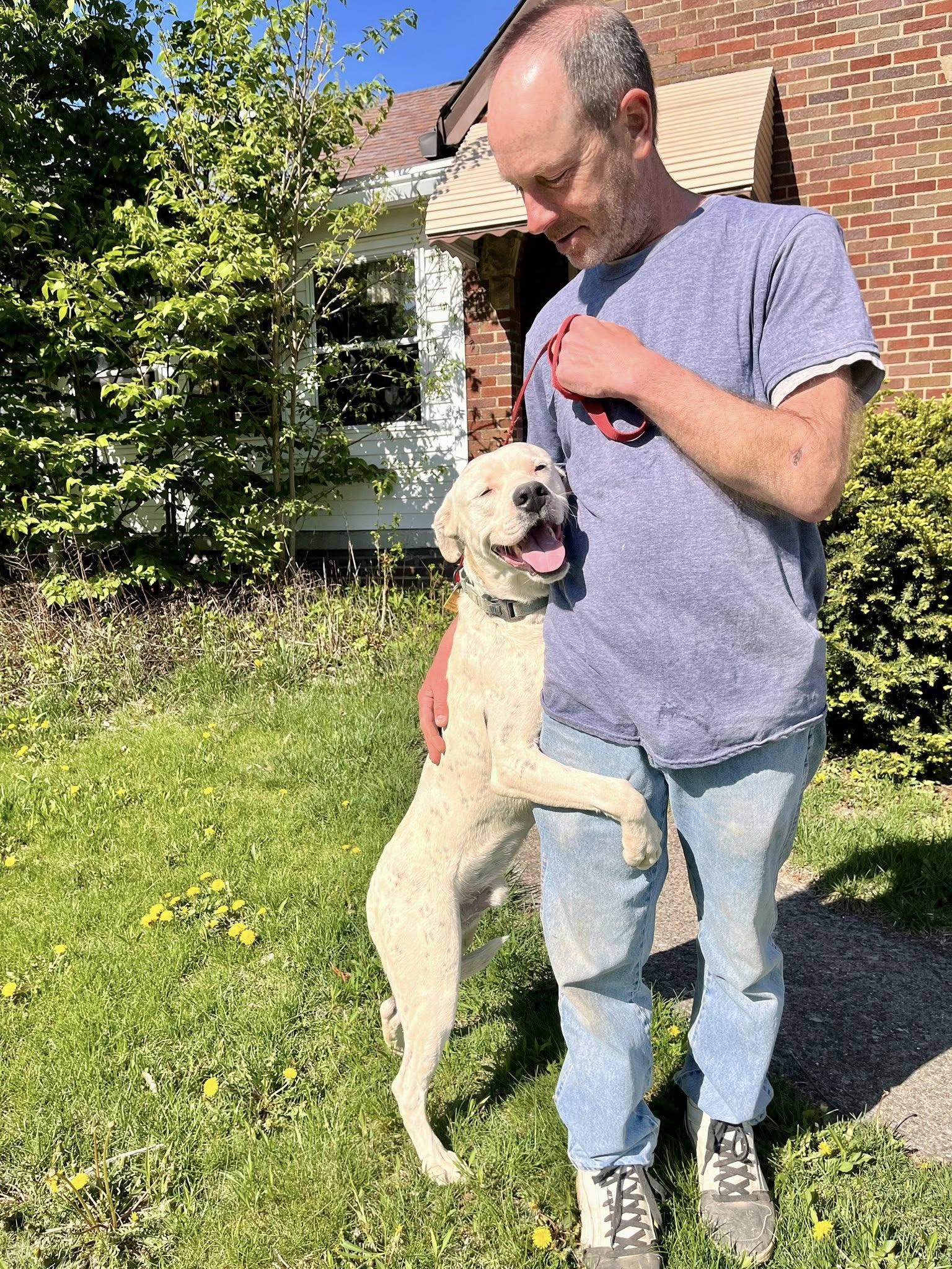 Baldo, a Adoptable mixed breed in Cleveland, OH image 4/5