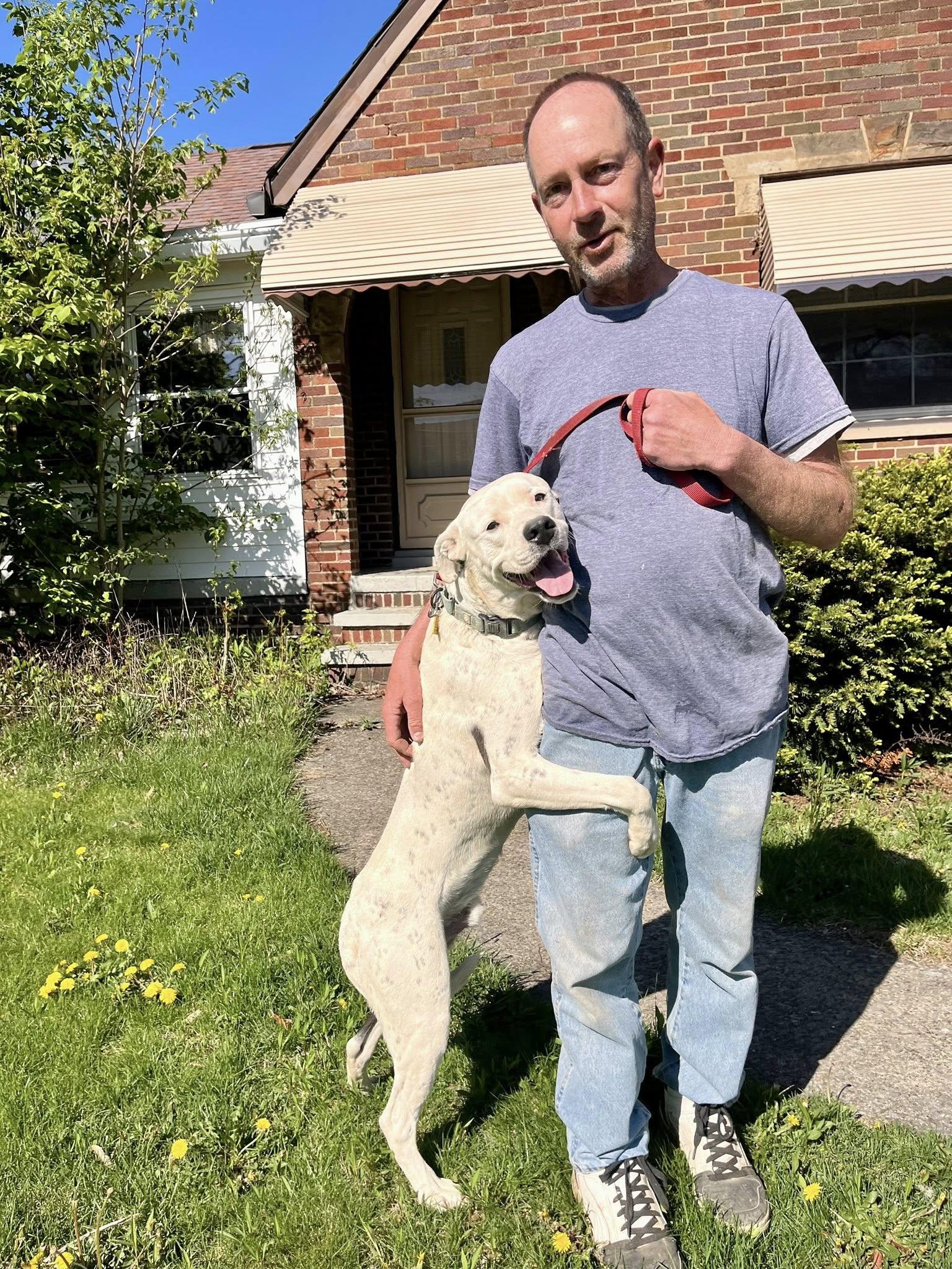 Baldo, a Adoptable mixed breed in Cleveland, OH image 5/5