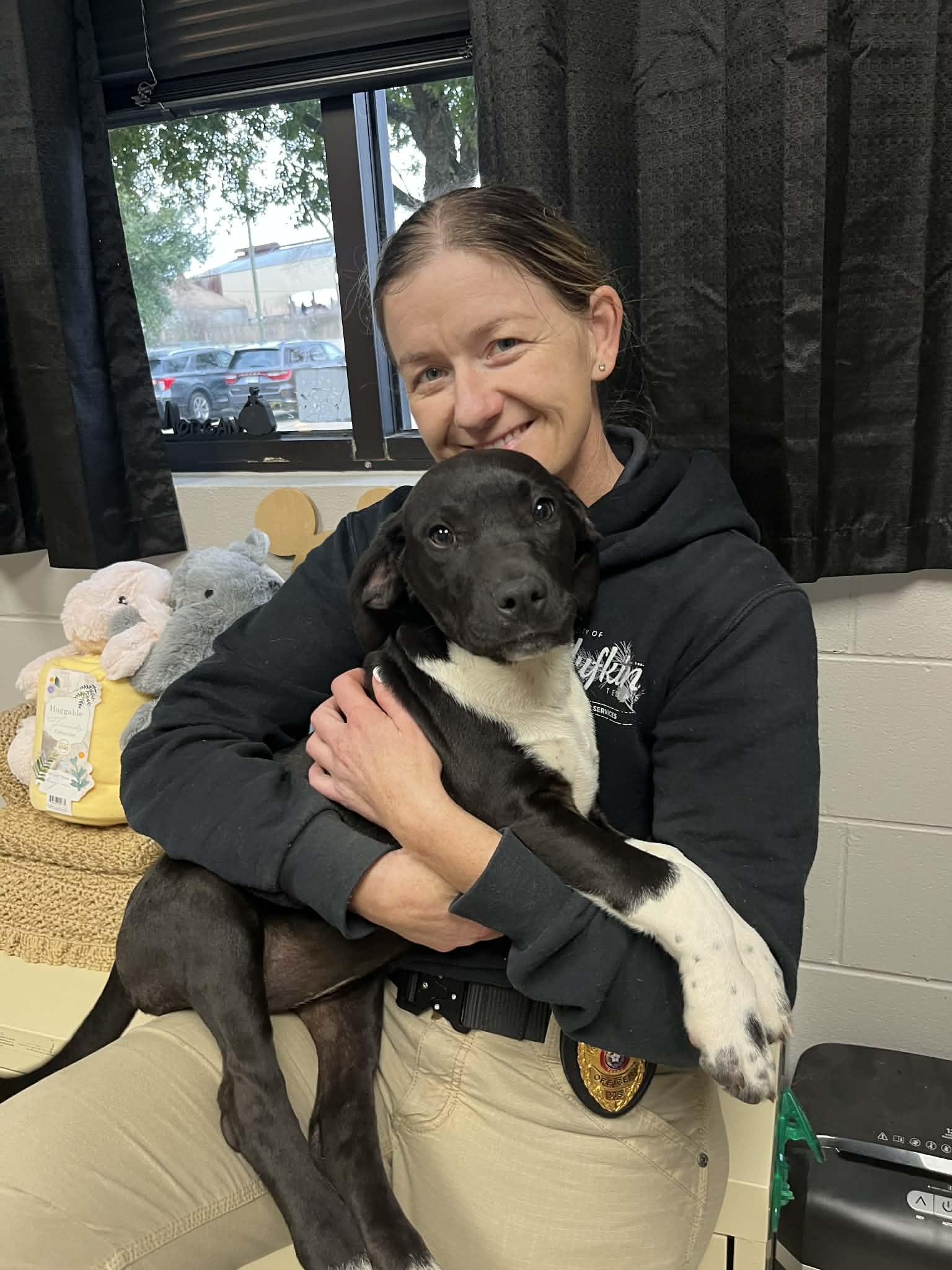 Enlarge Twinkle the sweet lab mix puppy, a Adoptable mixed breed in Muskego, WI image 1/5