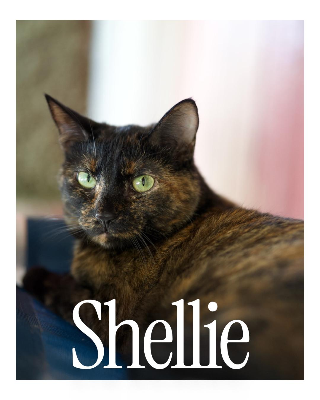 Shellie