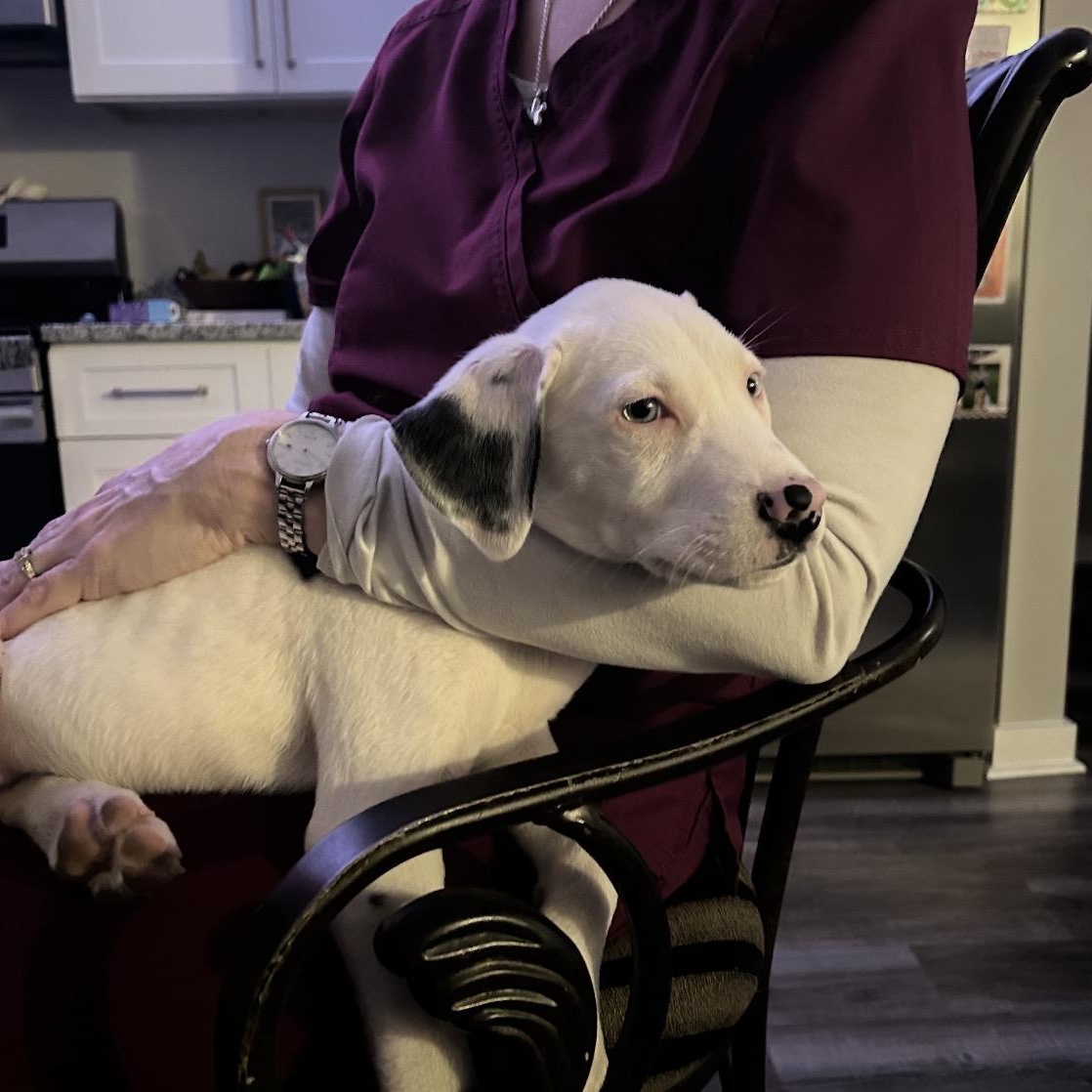 Theodore thumbnail 5