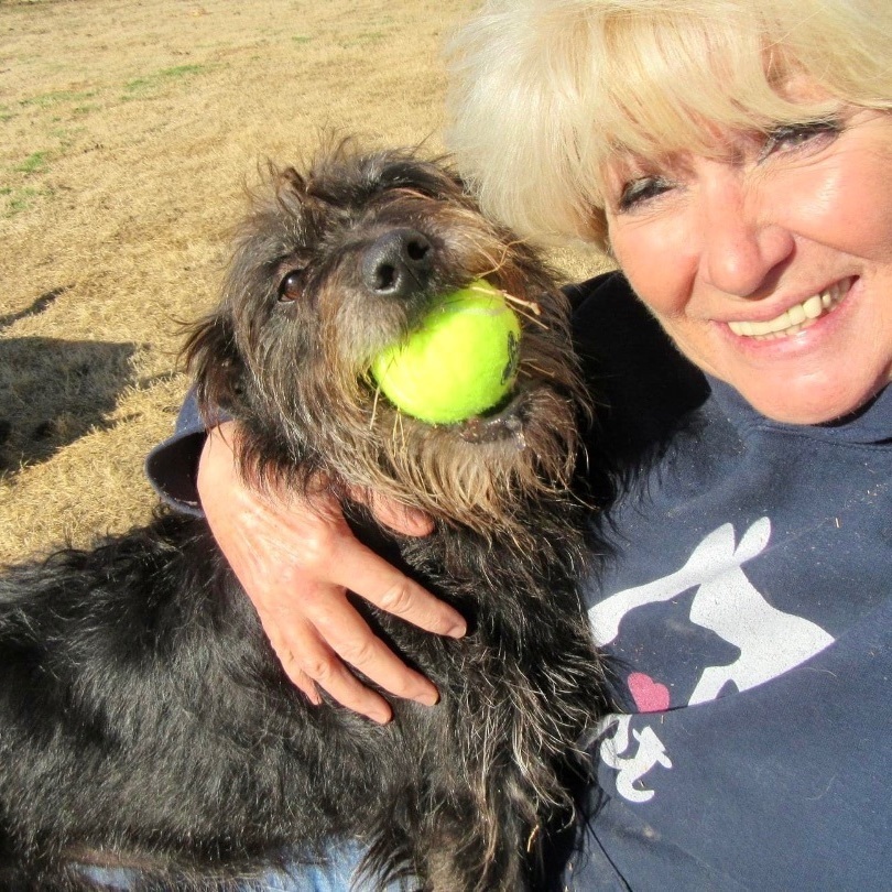 Enlarge Jojo & Poppie ~ A bonded pair, a Adoptable mixed breed in Tunica, MS image 6/6