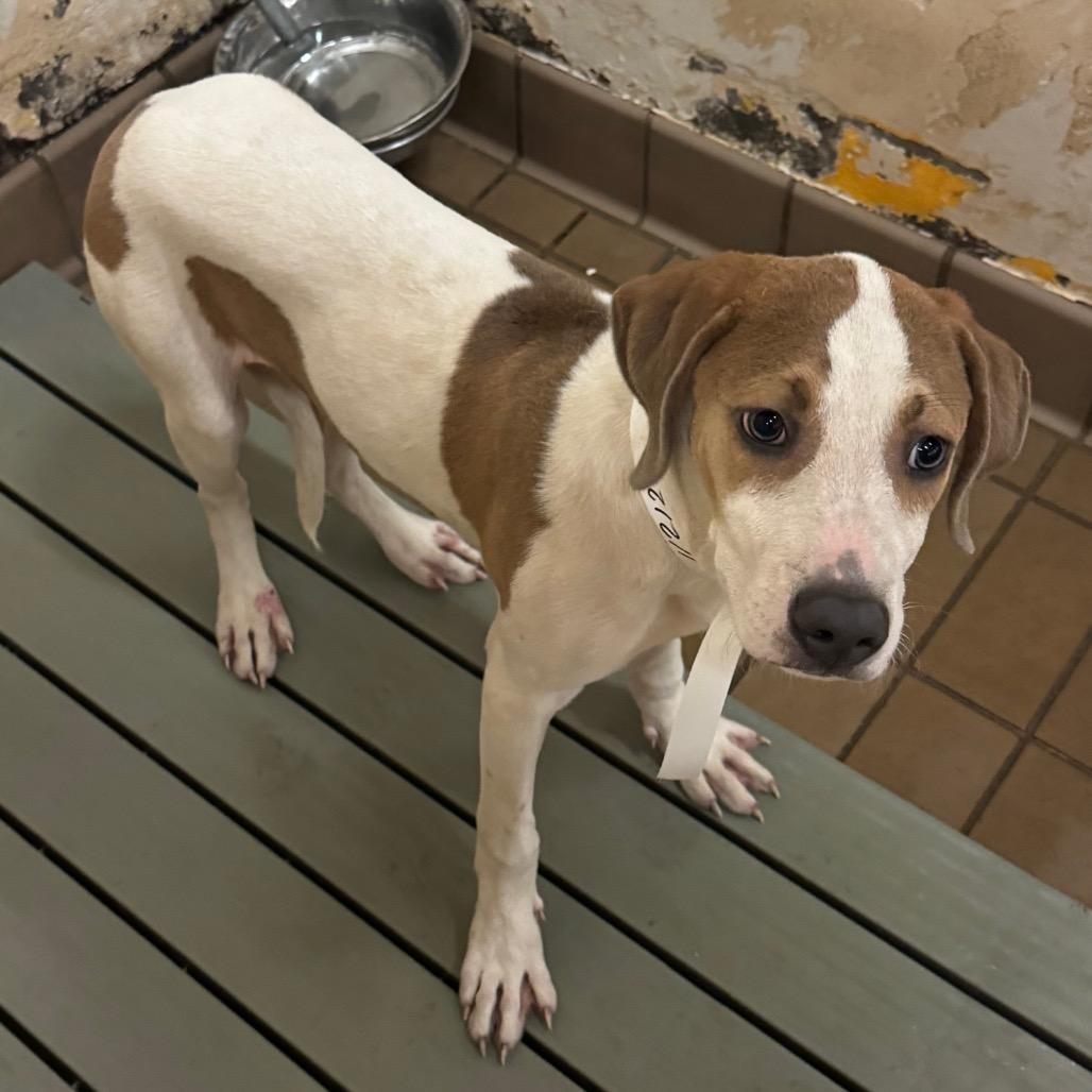 Arty — thumbnail 2