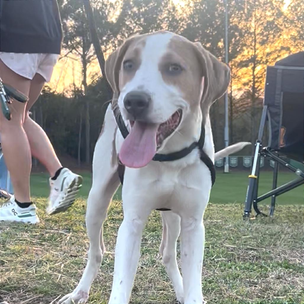 Arty — thumbnail 3