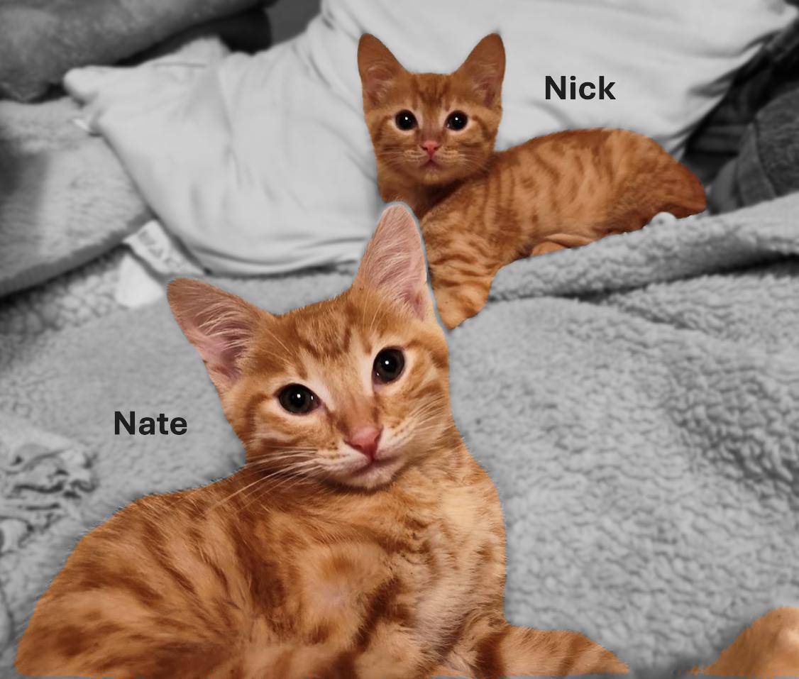 Nick and Nate (BONDED Brothers)