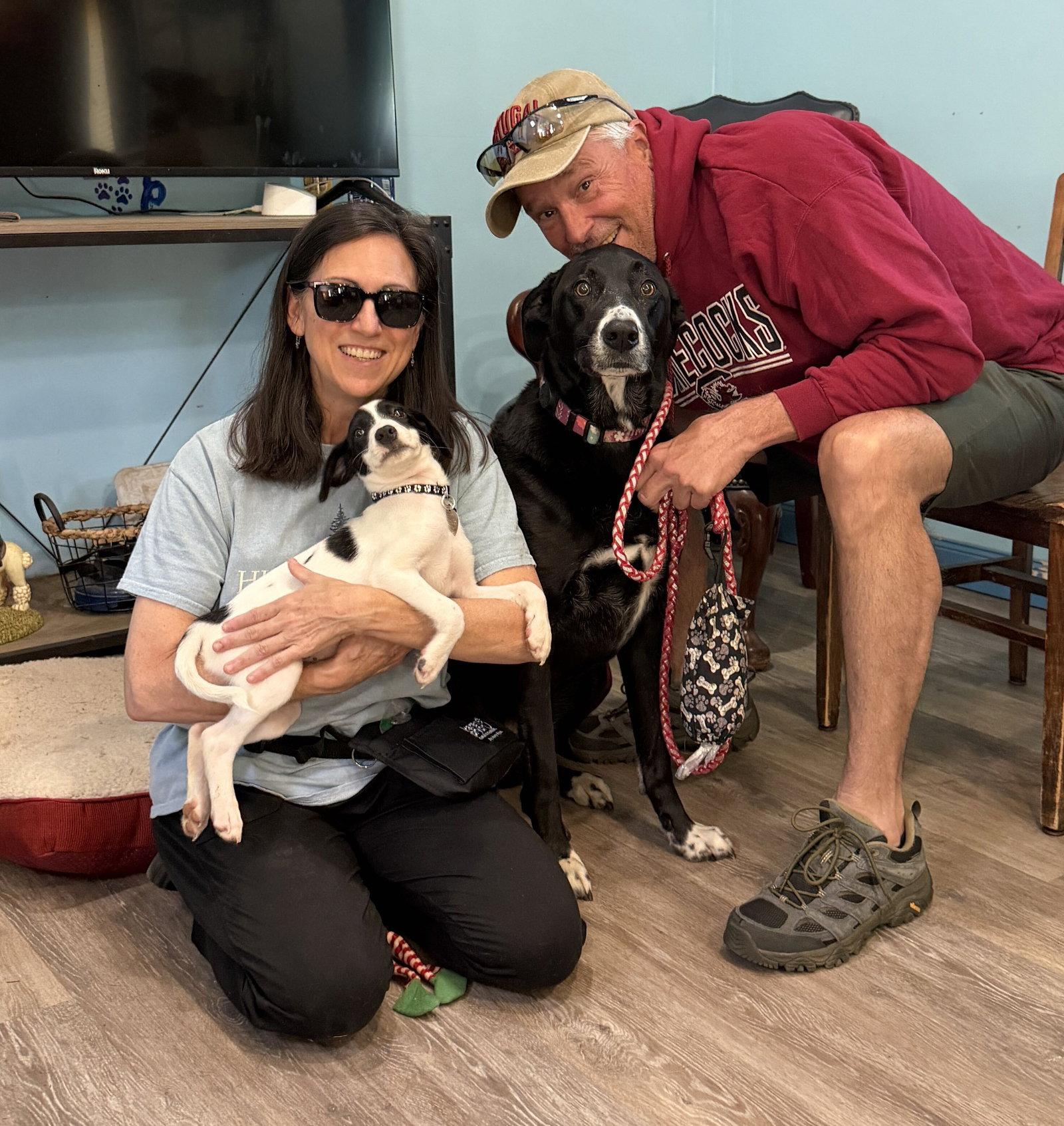 Earl Jul 26 - An Annie Pup, Adoptable, Puppy Male Terrier.
