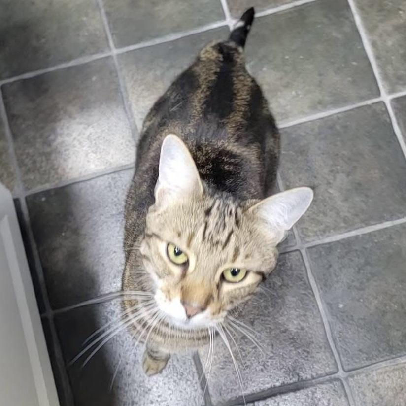 Coco & Jake bonded siblings