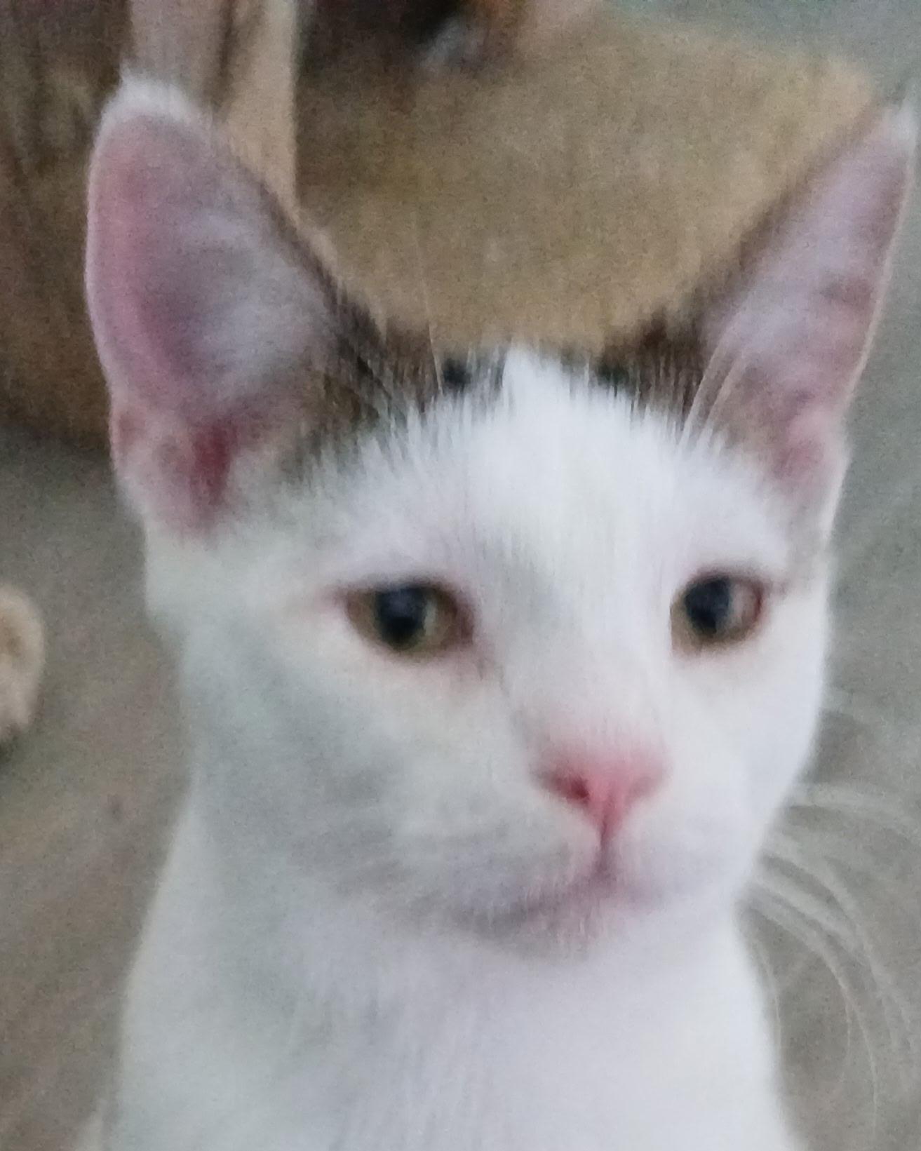 Ben