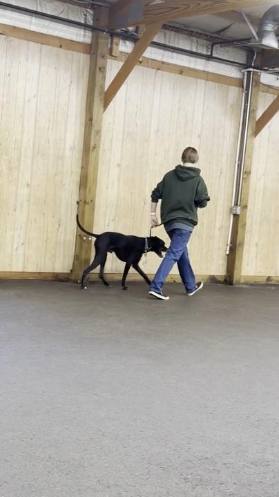 Rufus photo 4