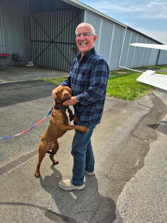 Enlarge Grizzly, a ADOPTABLE mixed breed in Shermans Dale, PA image 3/6