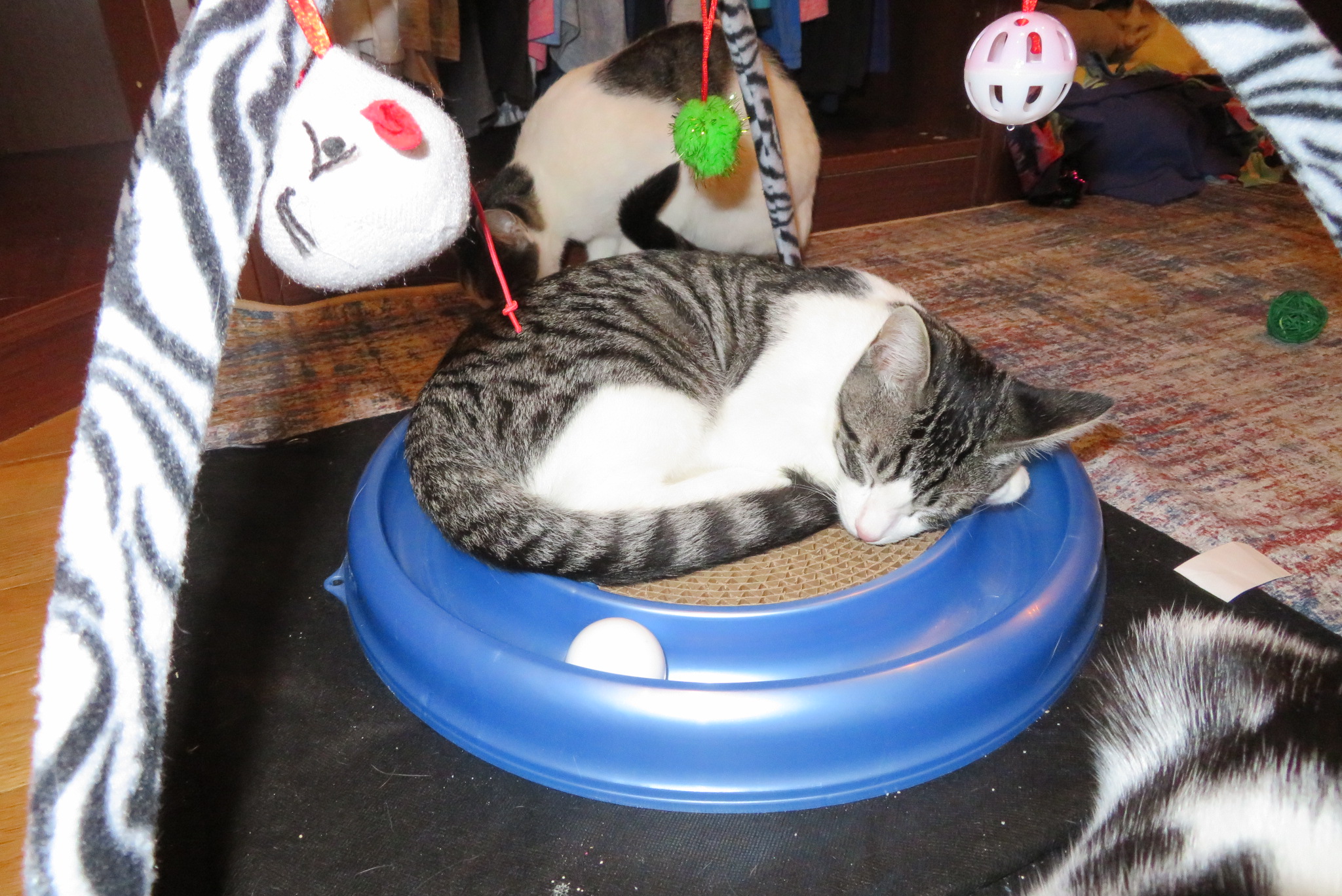 Marty photo 4