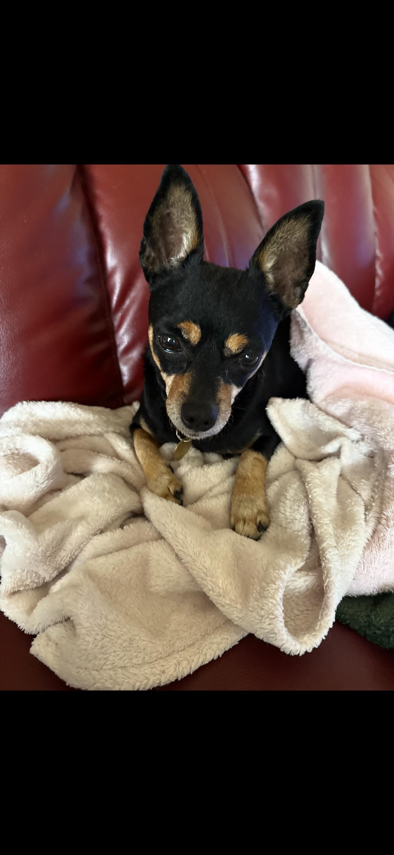 Da’baby thumbnail 2