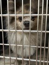 Rice and Beans (157426)