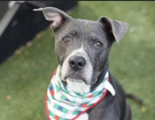 Marjorie thumbnail 2