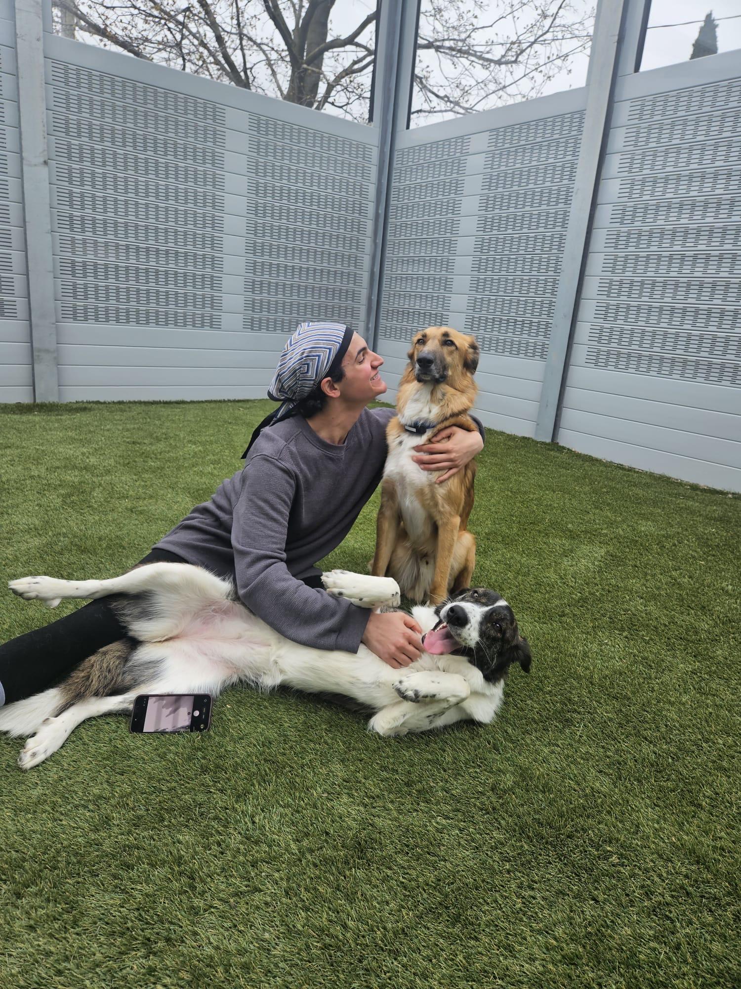 Enlarge Xena, a Adoptable mixed breed in Aurora, ON image 6/6