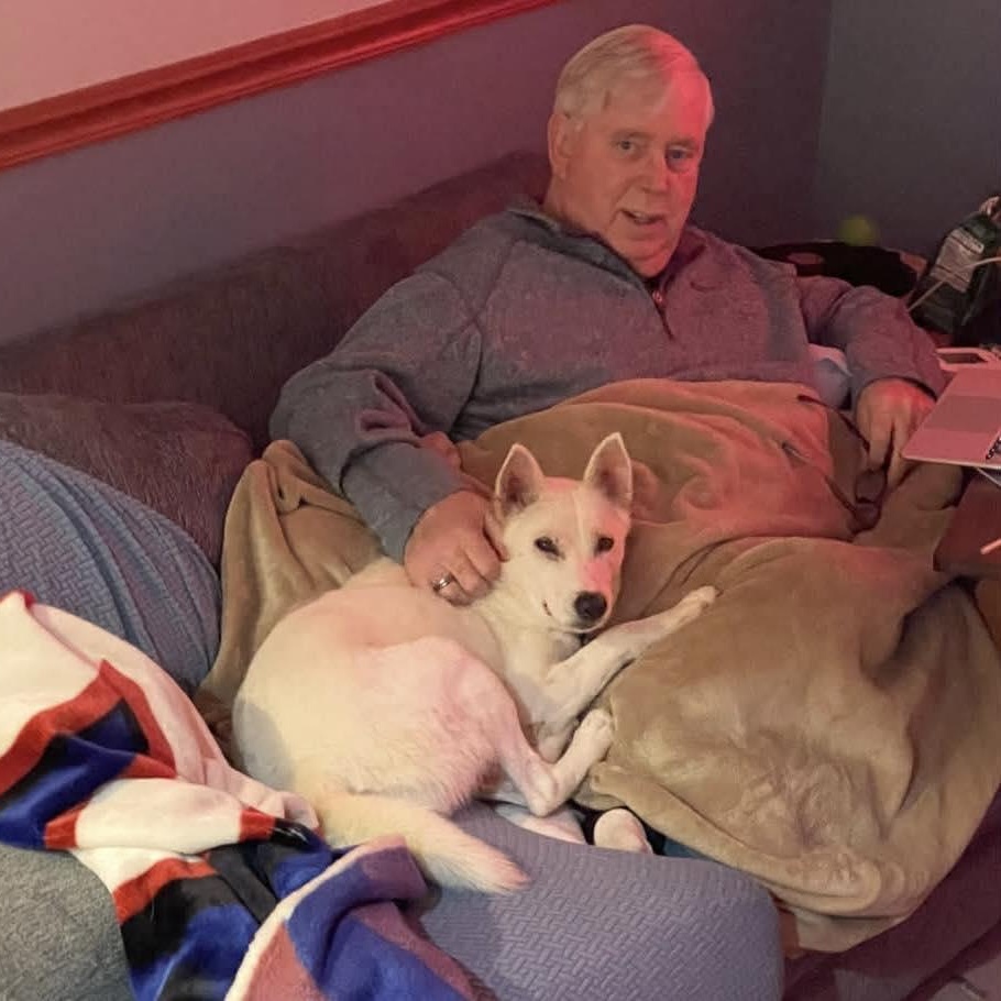 Enlarge Athena!, a Adoptable mixed breed in Nanuet, NY image 6/6