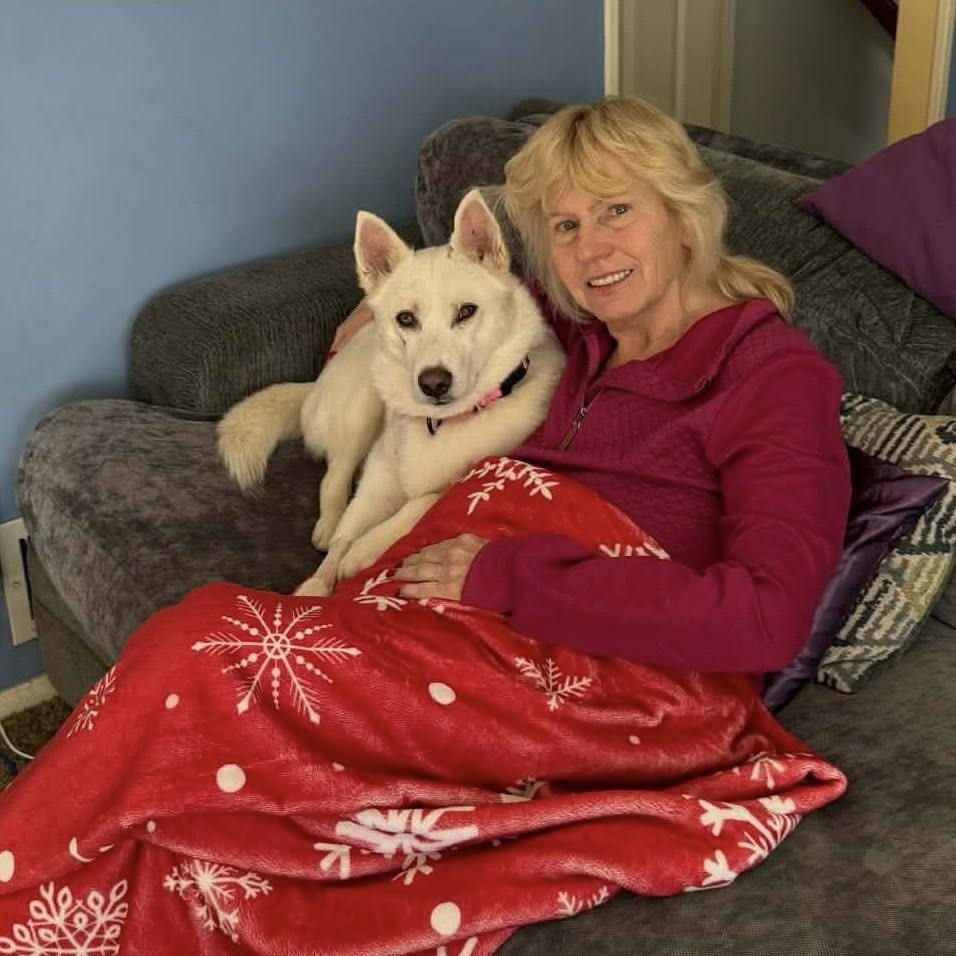 Enlarge Athena!, a Adoptable mixed breed in Nanuet, NY image 3/6