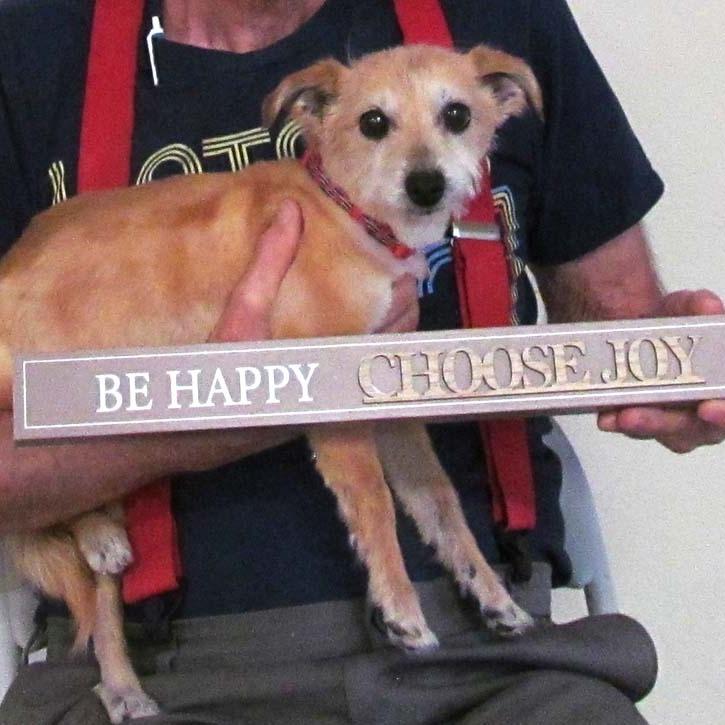 Joy, a Adoptable Mixed Breed in Las Cruces, NM image 6/6