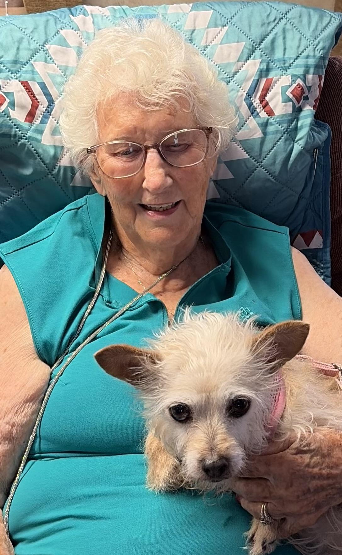 Enlarge Daisy3, an adopted Terrier in Phoenix, AZ image 3/5