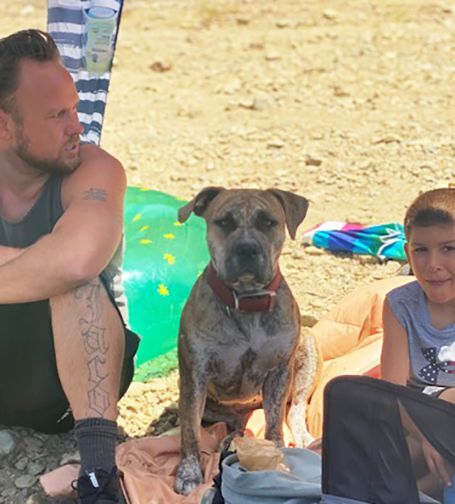 Enlarge Bell, a Adopted mixed breed in Orangevale, CA image 2/4