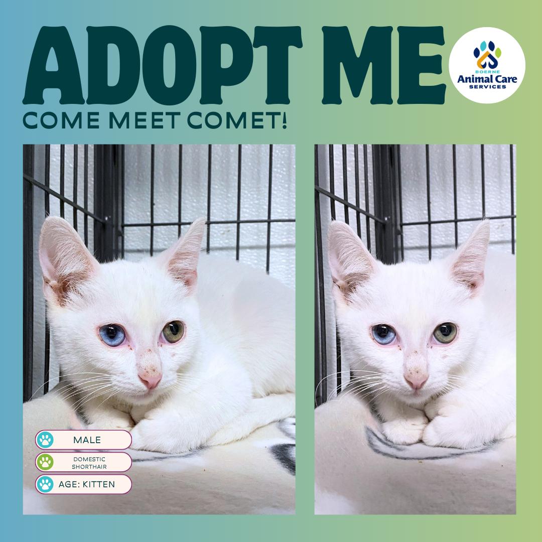 Comet