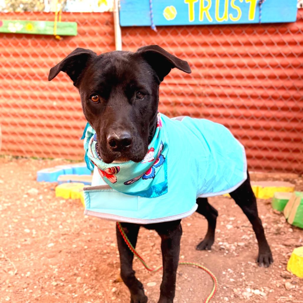 Celebrity Sighting — thumbnail 2