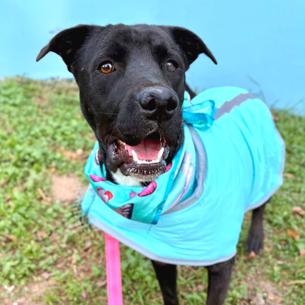 Celebrity Sighting — thumbnail 3