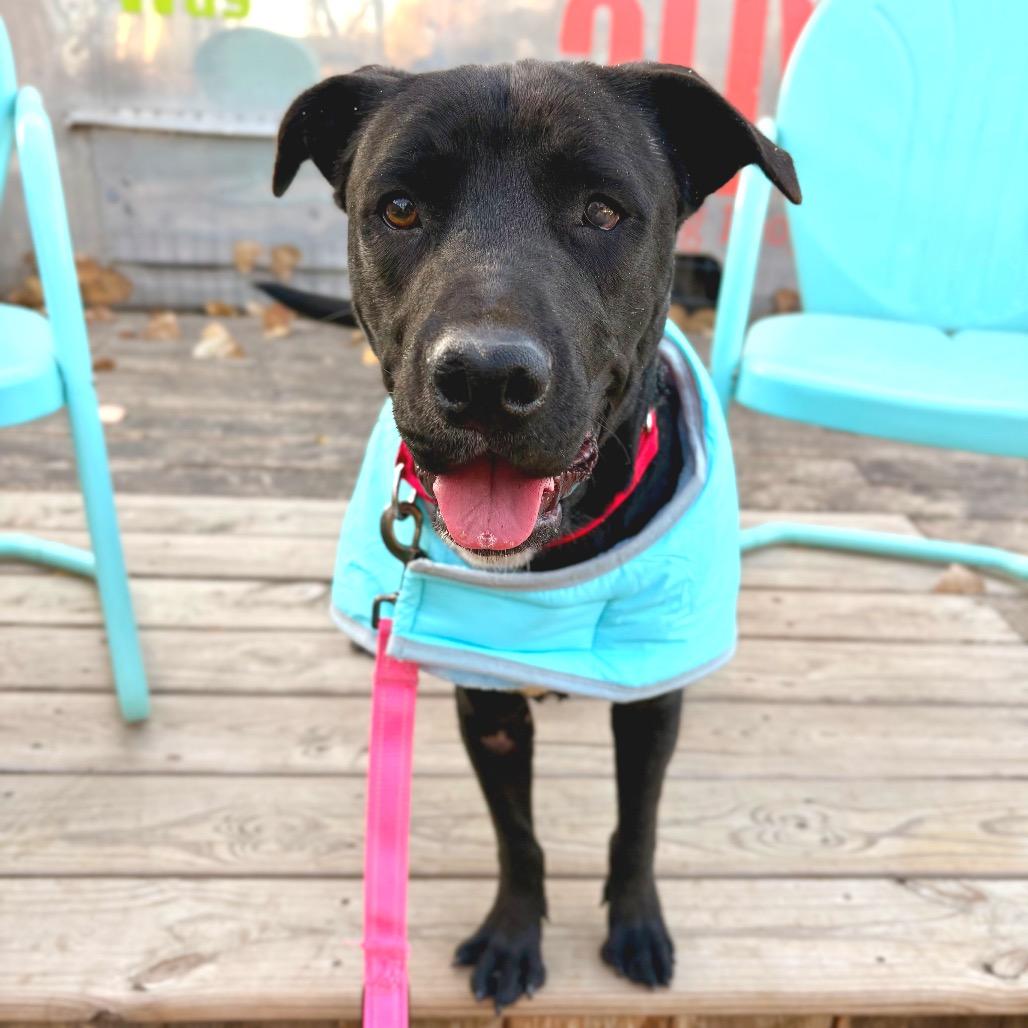 Celebrity Sighting — thumbnail 4