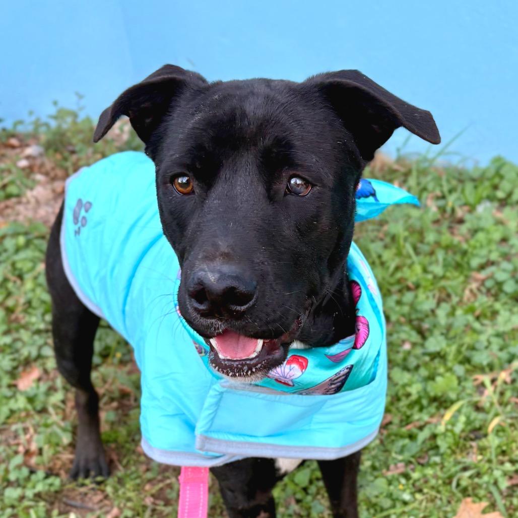 Celebrity Sighting — thumbnail 5