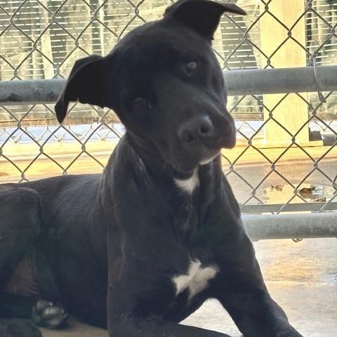 Celebrity Sighting — thumbnail 6