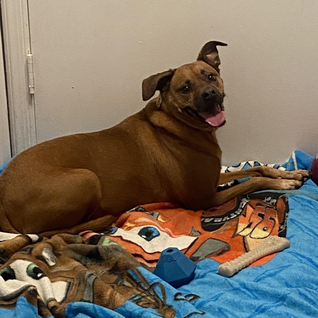 Bria 7973 — thumbnail 2