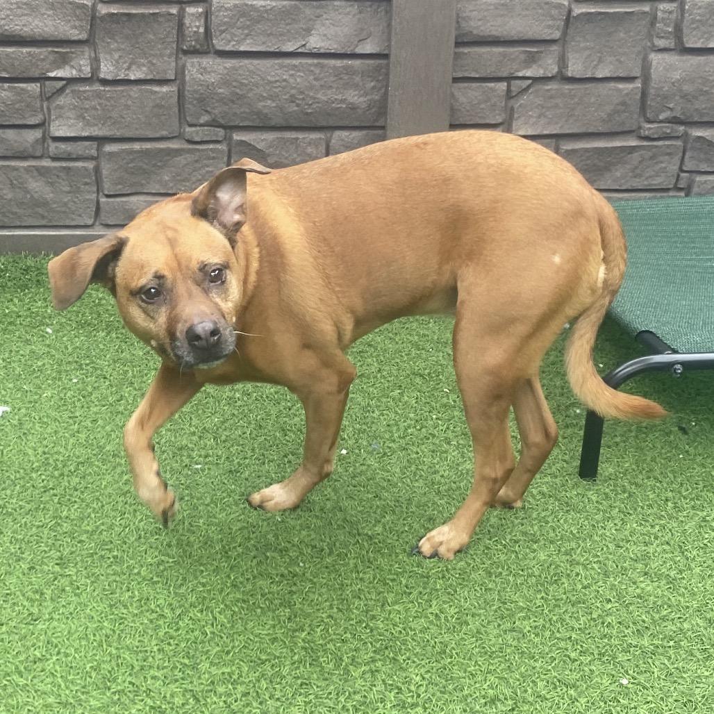 Bria 7973 — thumbnail 3