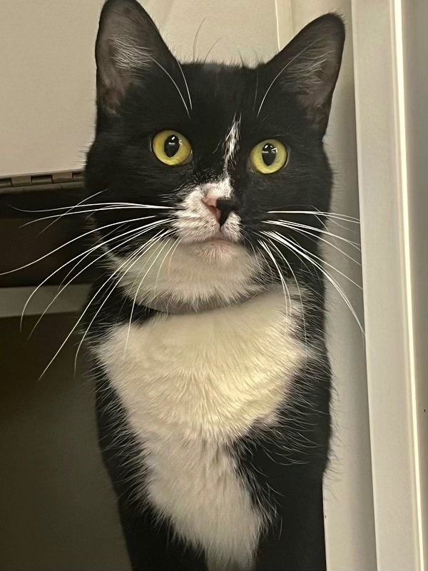 Gia