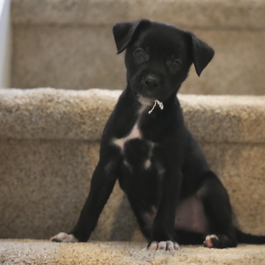 Ny Cleopatra thumbnail 4