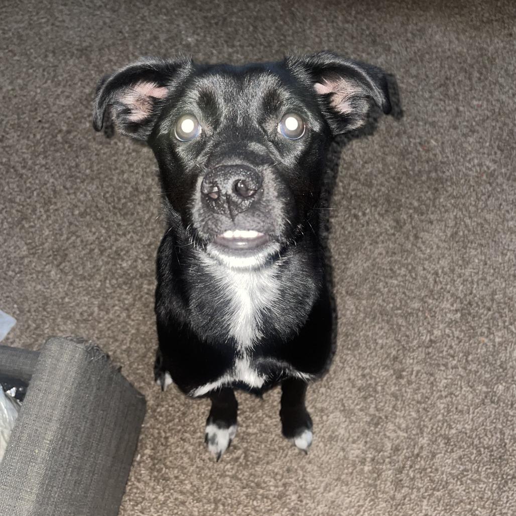 Ny Cleopatra thumbnail 5